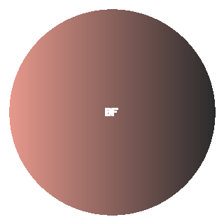 Blush by Farah Khan logo